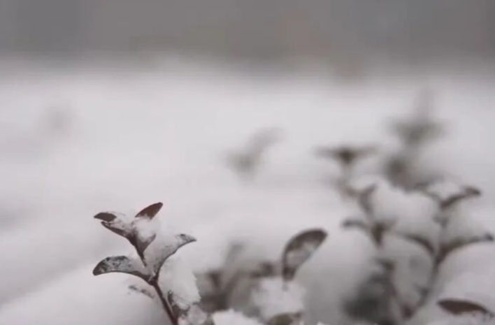 我国已经进入拉尼娜状态