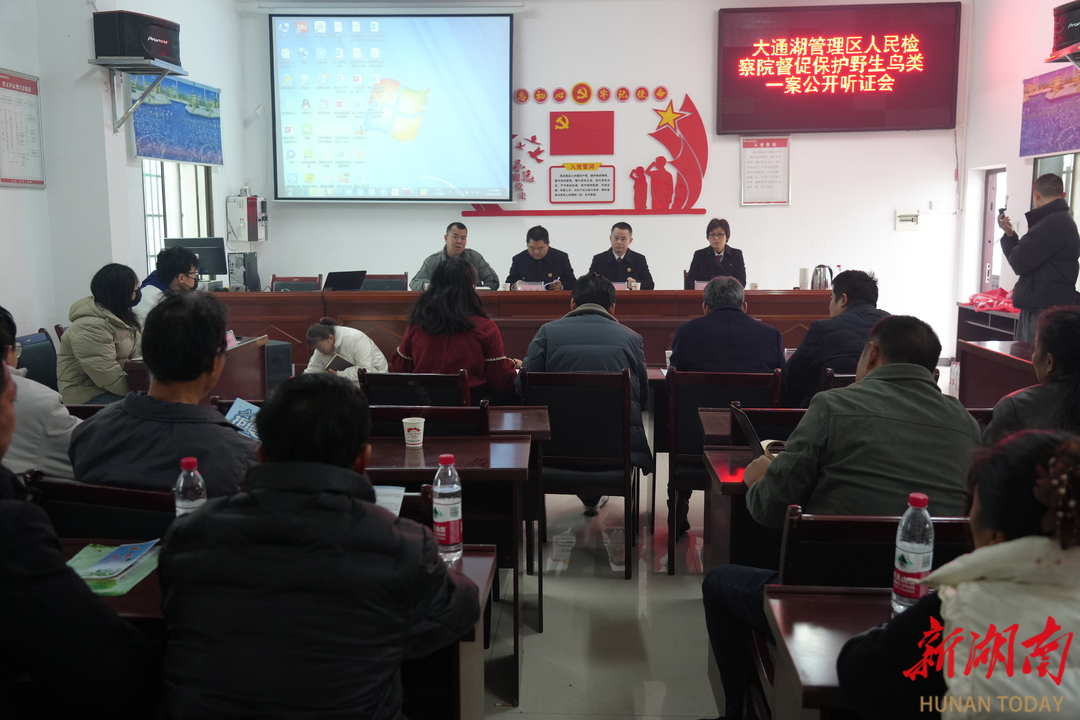 上门听证+现场普法，大通湖区检察院以“看得见、听得懂”的方式保护候鸟安全