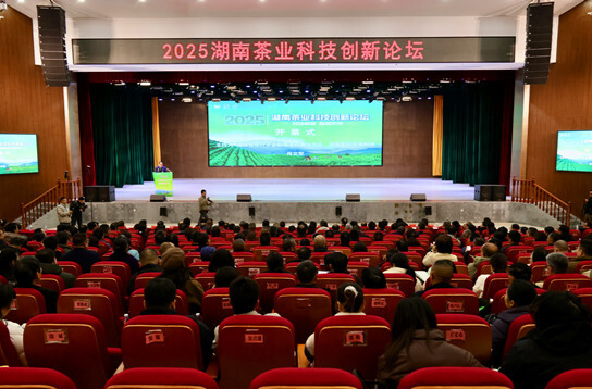科技赋能茶香远——2025湖南茶业科技创新论坛在沅陵举办