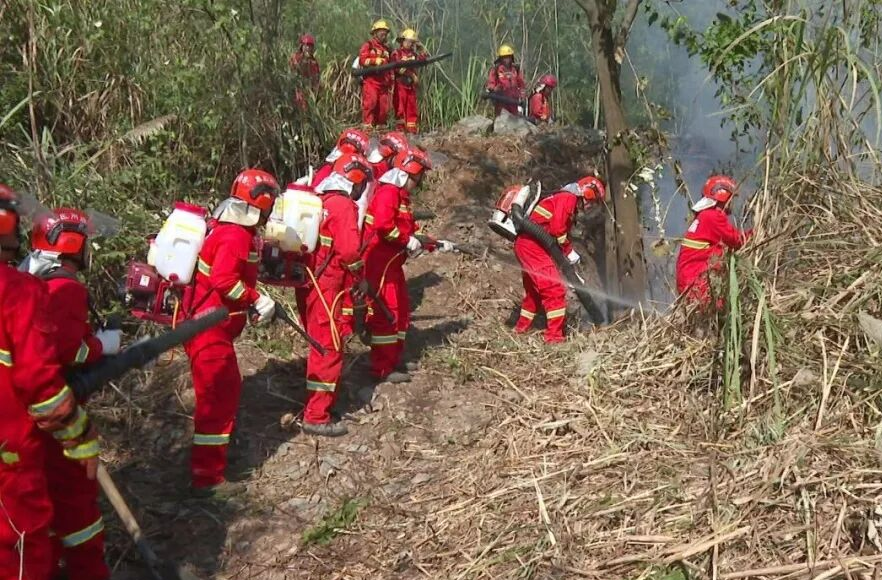 冬防正当时！湖南各地织密冬季森林防火安全网