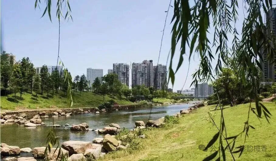 穿过长沙的清晨