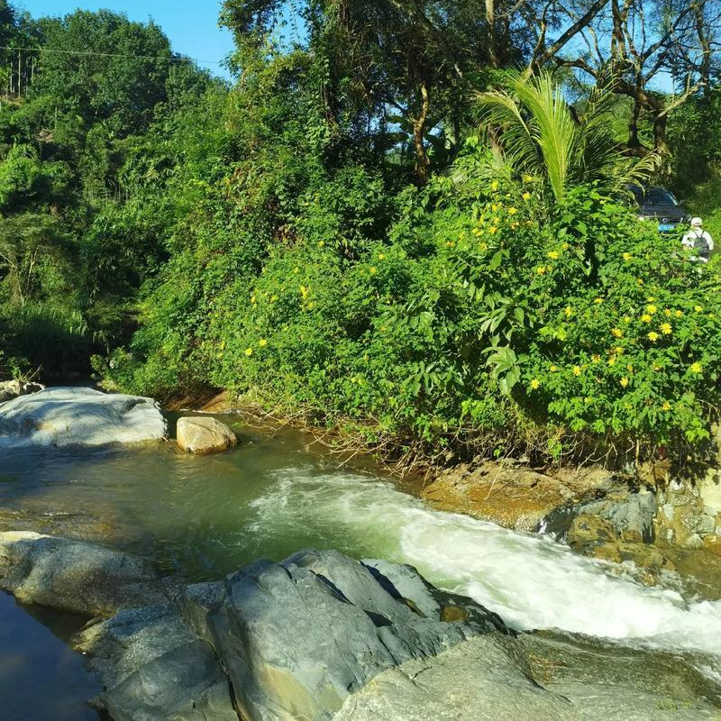 太平溪的早晨|湘江副刊·湘韵