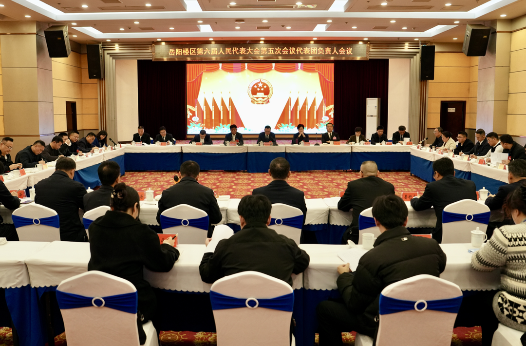 岳阳楼区六届人大五次会议各代表团负责人会议召开
