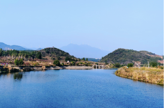 临武县聚力清理水葫芦 绘就河湖生态新画卷