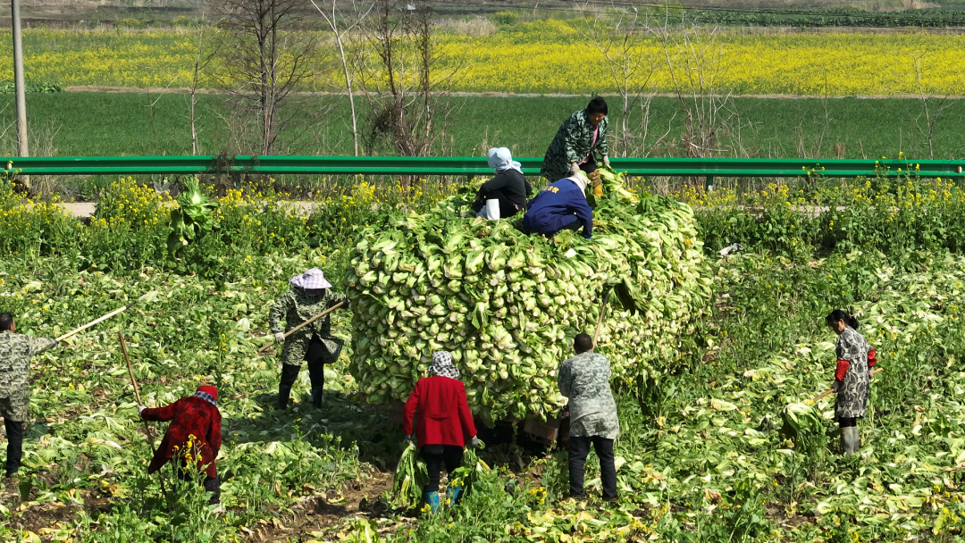 670c7e16b3e743179e55dd0095ecb657.png 670c7e16b3e743179e55dd0095ecb657.png