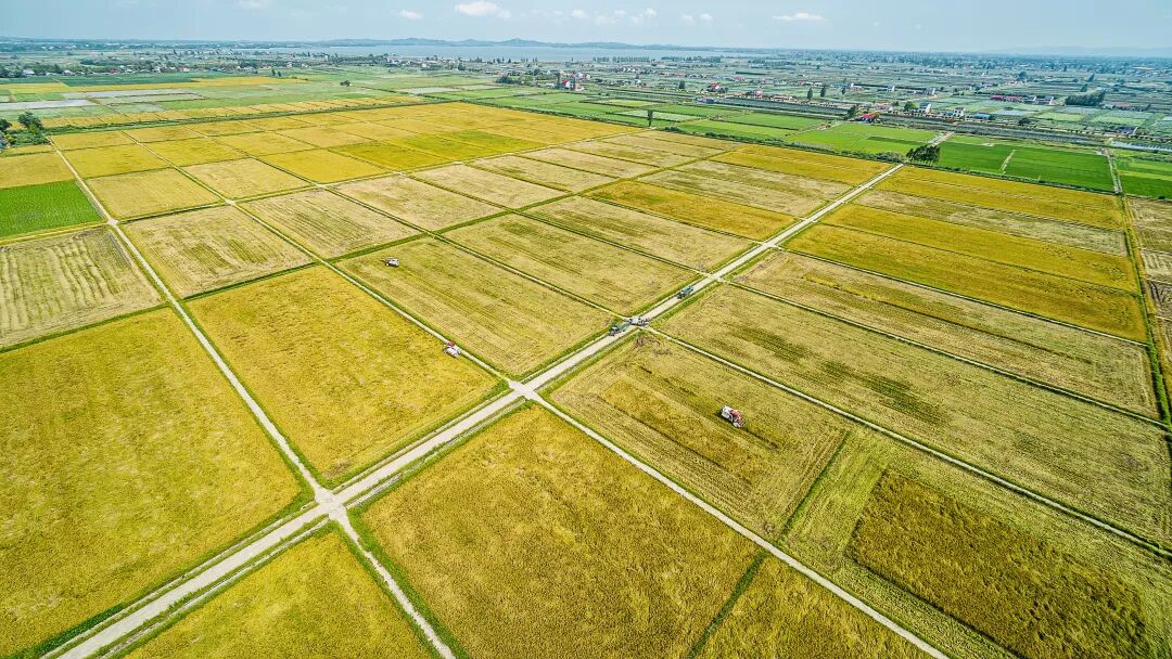 微信图片_2025-07-10_154310_523.jpg 微信图片_2025-07-10_154310_523.jpg