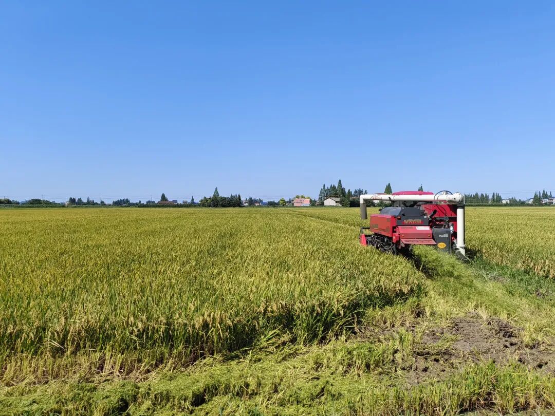 微信图片_2025-07-10_145025_557.jpg 微信图片_2025-07-10_145025_557.jpg