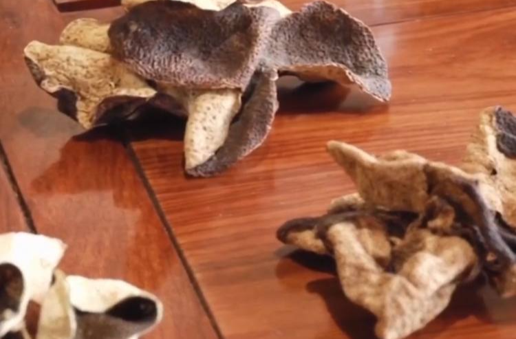 售价千元，成本仅70元？你常喝的它可能是贴牌假货