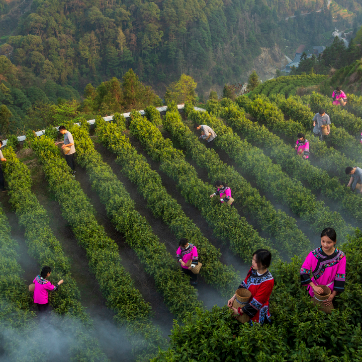 有事找代表！看保靖县清水坪镇如何把民主办到百姓心坎上