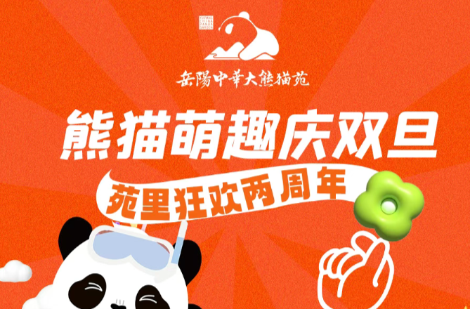 双旦狂欢倒计时！岳阳中华大熊猫苑2周年庆，全园变身熊猫派对现场！
