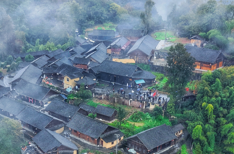 湘西深山“土宝贝”，撬动新消费市场@湖南日报