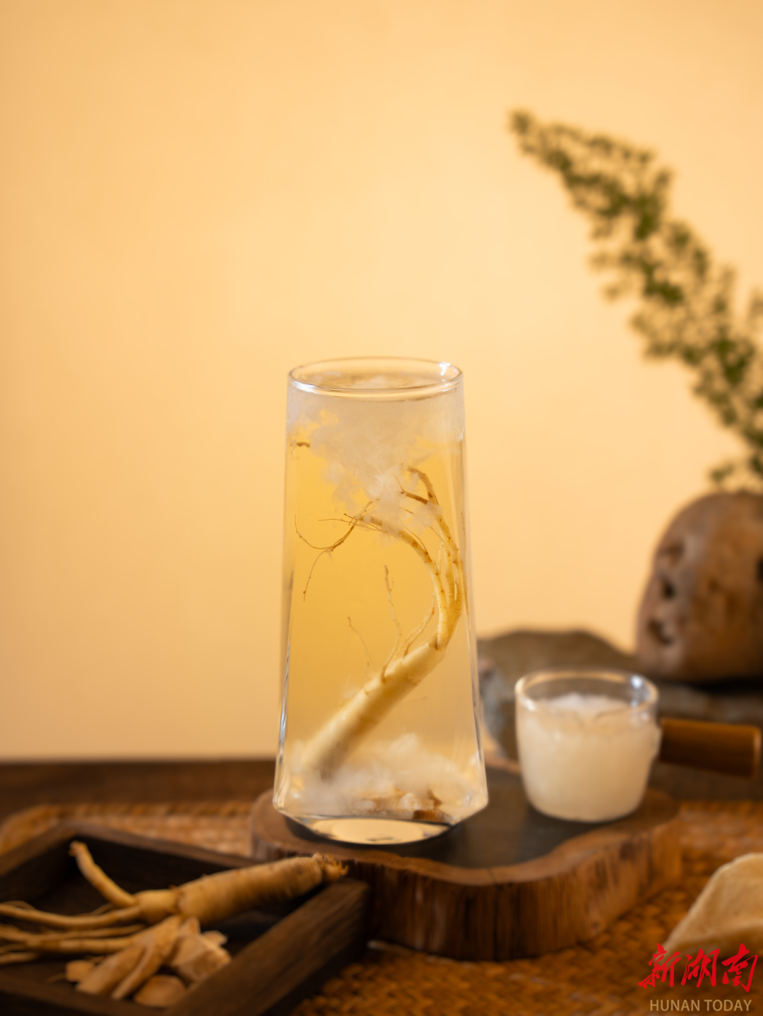 客运站里飘药香 “茯至心苓”如何让道地药材驶入消费快车道