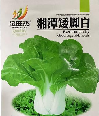 田间“小白菜” 产业“大文章” ——雨湖区姜畲镇大力推广栽培“湘潭矮脚白”