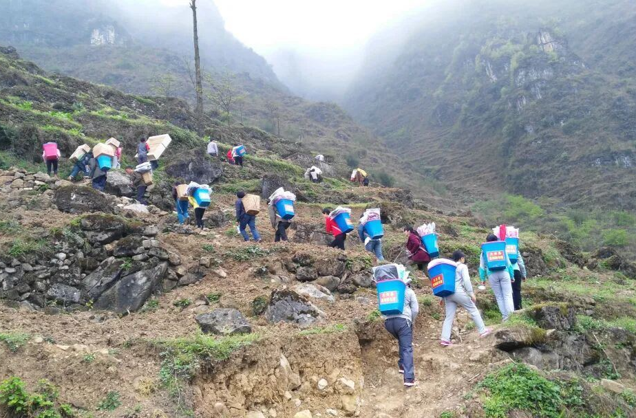 为“阅读”立法，有哪些深意