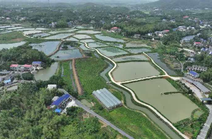 人大代表办实事 雨敞坪乡村焕新颜