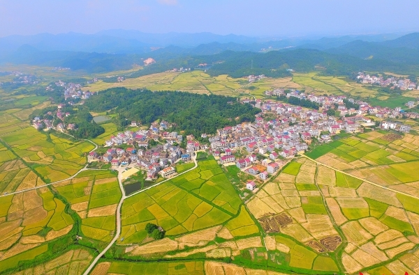 湖南日报 | “点上开花”到“全面赋能”的茶陵路径——茶陵持续深化移风易俗实践为乡村振兴注入文明动能