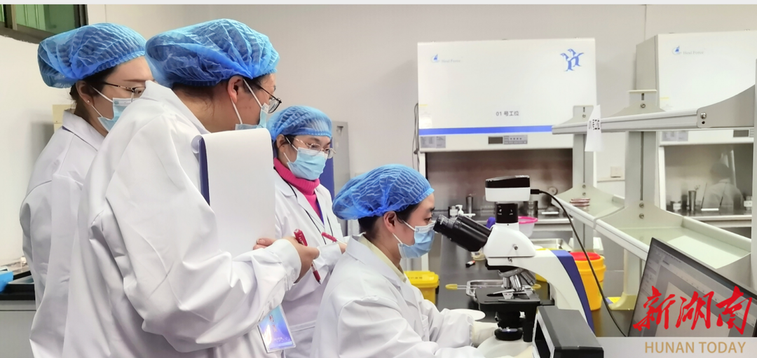 全国检验技能大赛在益阳开赛，益阳医专教师团队斩获6项一等奖