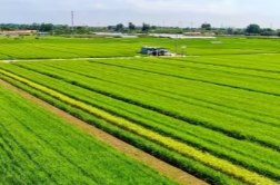 11项经验获全国推介，洞庭湖畔这名优等生藏不住了！