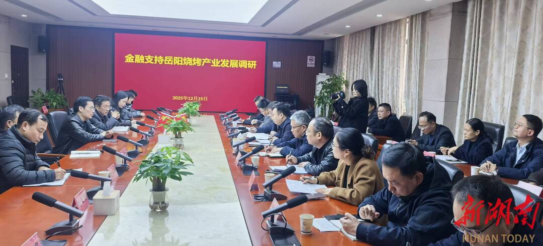 岳阳拟推出金融产品赋能烧烤行业