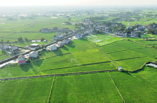 湘涌新潮⑧‌丨益阳：一方良田，安放希望