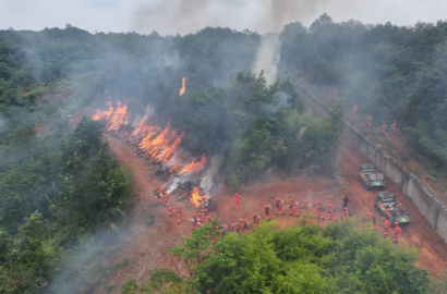 湖南省应急管理厅火灾防治管理处党支部案例获评省直机关“改革先锋”优秀案例