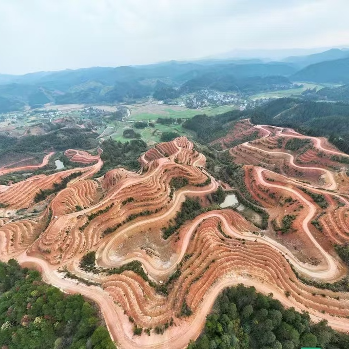 会同县地灵乡人大代表合力筑巢引凤