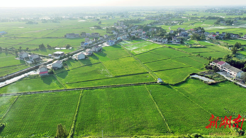 湘涌新潮⑧‌丨益阳：一方良田，安放希望