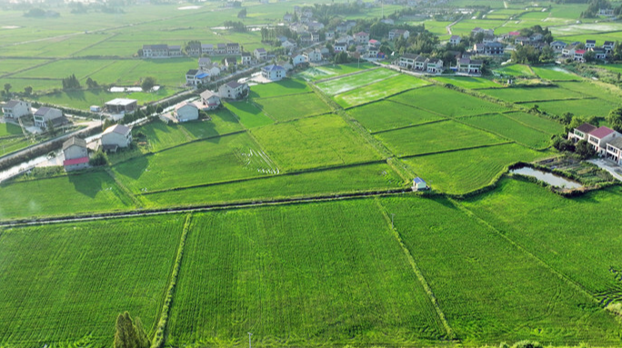 【湘涌新潮——全面深化改革看湖南蹲點觀察】益陽：一方良田，安放水、糧與希望