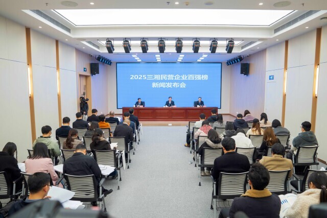 三湘百强民营企业各项主要指标稳步提升的背后……