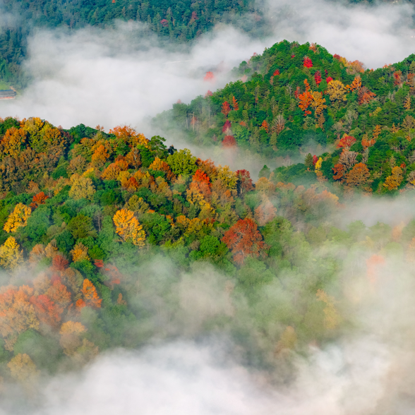 怀化“十四五”答卷·会同篇②｜深入践行“两山”理念，将生态优势转化为发展胜势