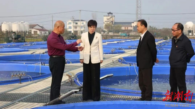 雷欣调研重点产业项目：做强产业支撑 积蓄高质量发展动能