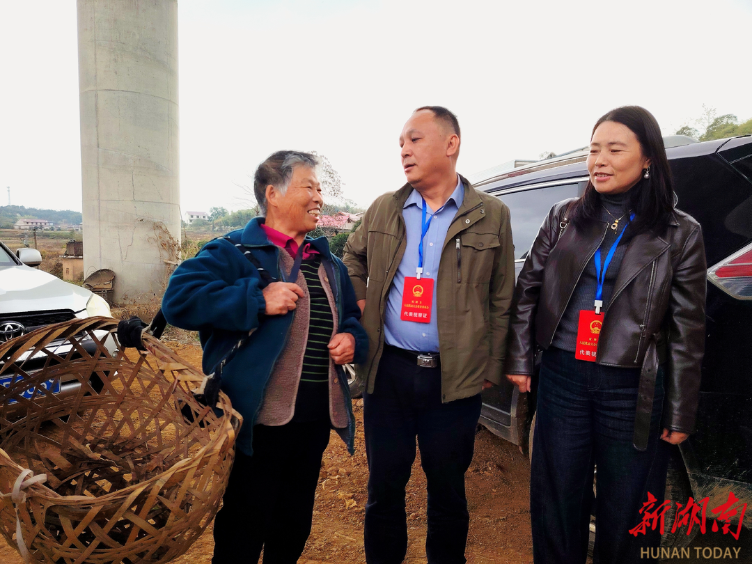 杏子铺镇人大：以民主之笔绘就乡村振兴新图景