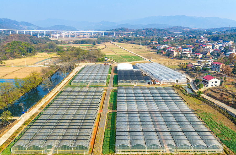 产业兴  乡村美