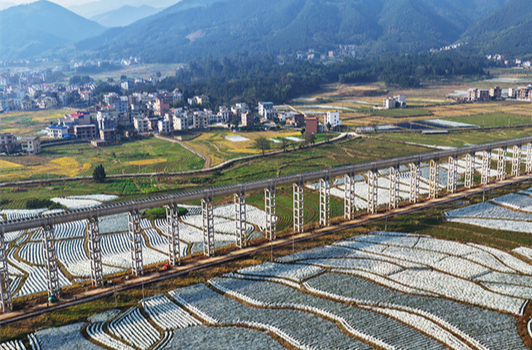 Lanshan County Boosts Rural Revitalization