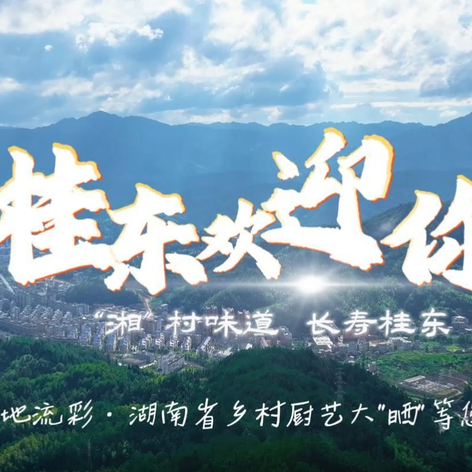 大地流彩——湖南省乡村厨艺大“晒”改编歌曲《桂东欢迎你》发布