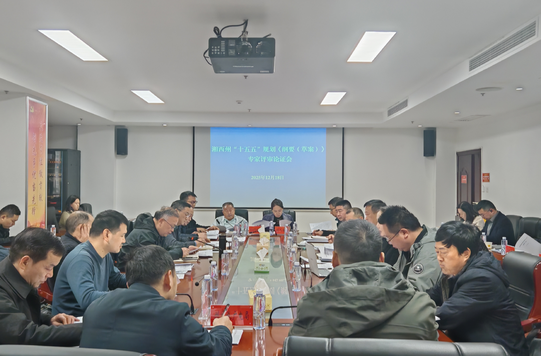开门问策！湘西州召开“十五五”规划《纲要》专家评审论证会