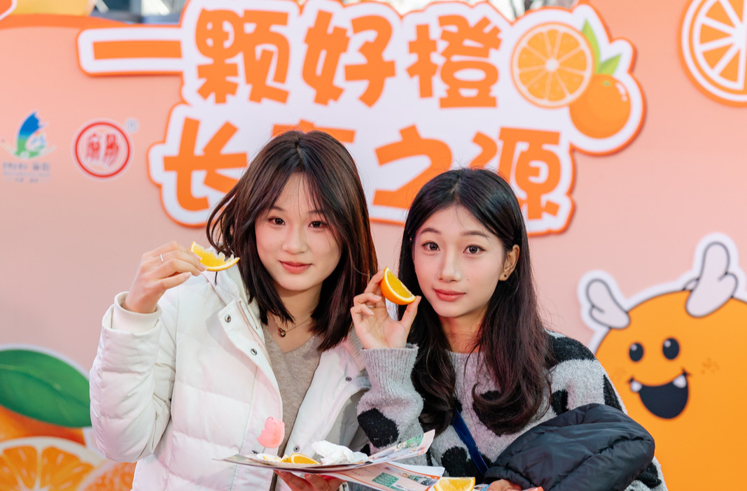 麻阳冰糖橙飘香长沙黄兴广场 品鉴活动搭建产销桥梁