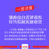 一图读懂 I 湖南出台促进银发经济发展实施意见