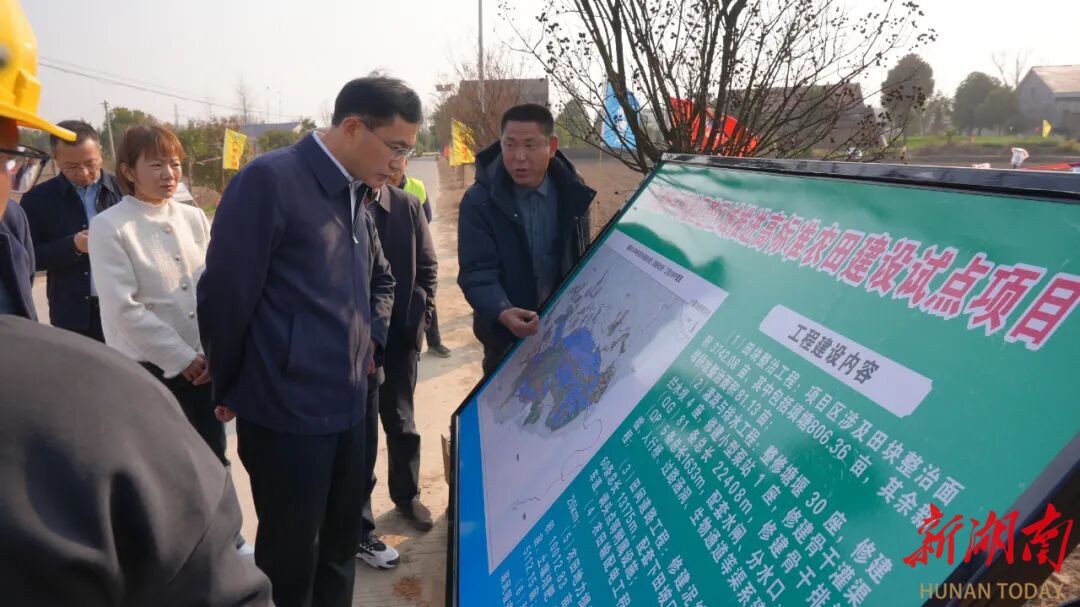 王启武调研督导高标准农田建设