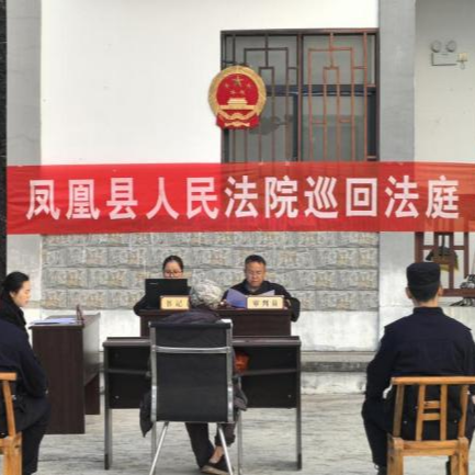 背着国徽去开庭！凤凰法院把法庭“搬”到当事人家门口