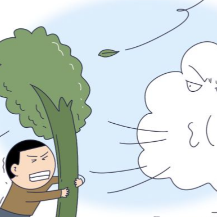 注意！未来三天，湖南气象灾害风险以大风、霾为主