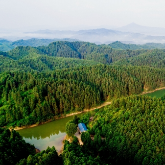 再踏层峰 怀化答卷｜会同依托资源禀赋以林长制为统揽形成“大林业”格局