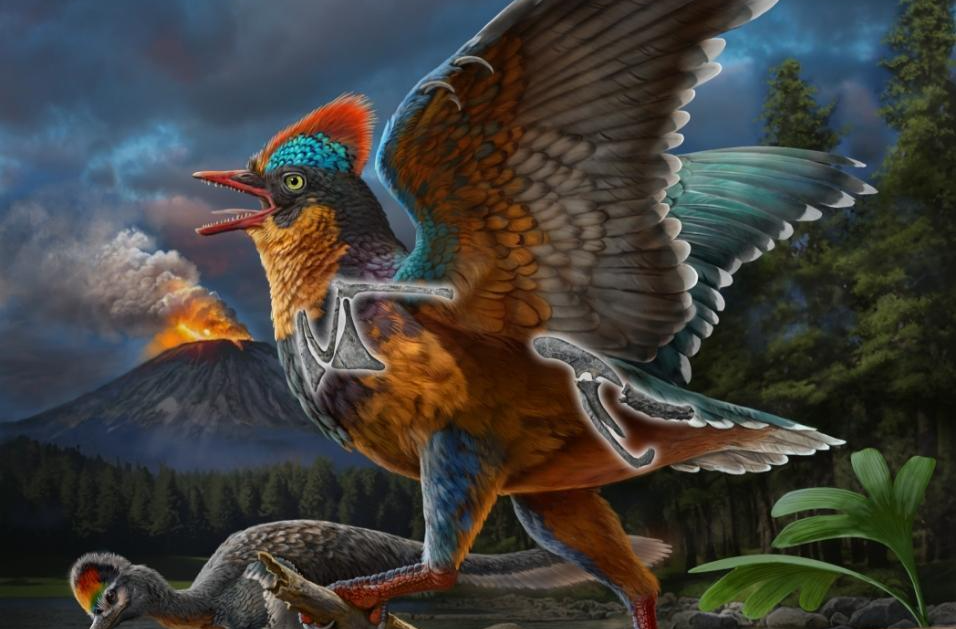 改写生命演化史！2025我国古生物学研究在多领域取得突破