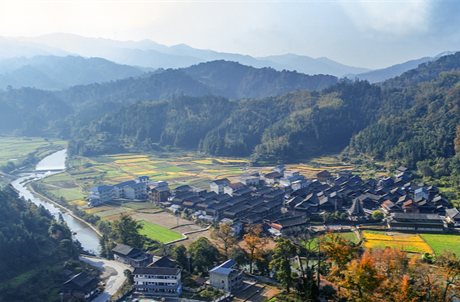 Maple Leaves Decorate Tongdao Dong Autonomous County