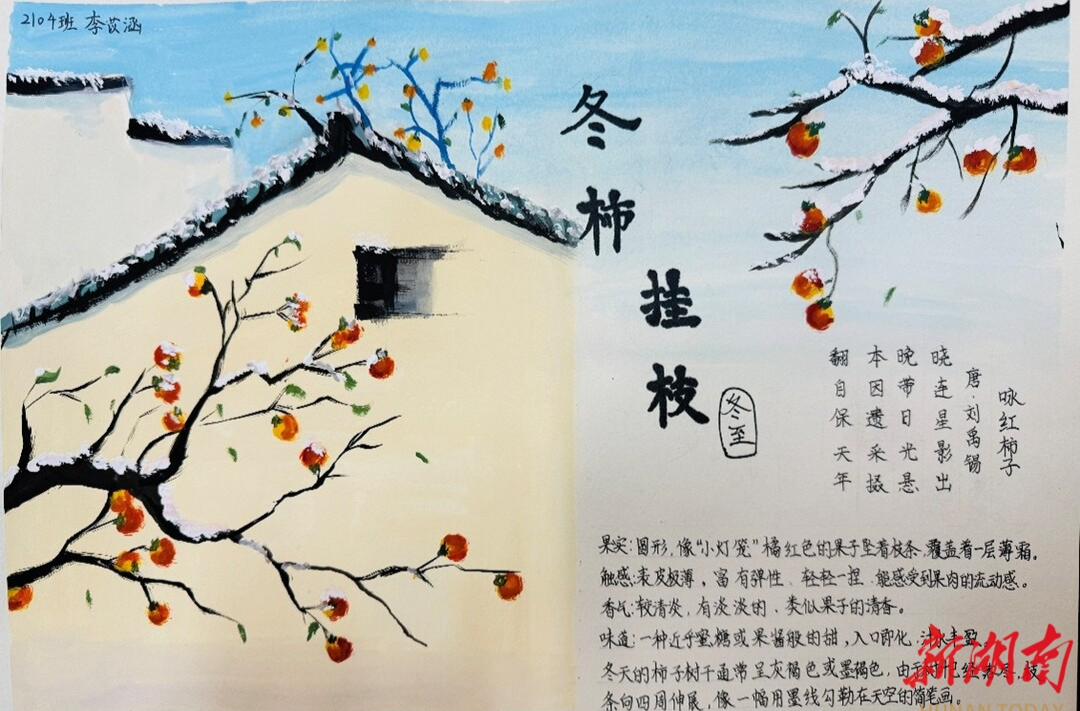 节气湖南·物候|冬至：岁寒至深，静待新昼