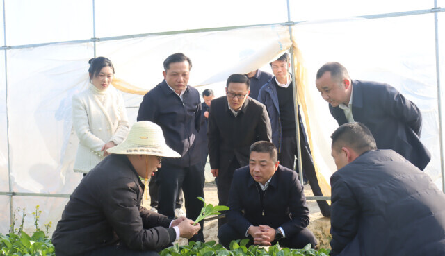 冯拥华：乡情筑梦沃土，笃行谱写新篇