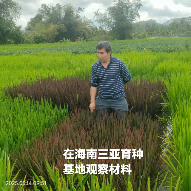 刘云发：从徒弟到师父，一个农民带富一群农民