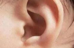 原来，耳朵里还藏着减肥“小机关”！