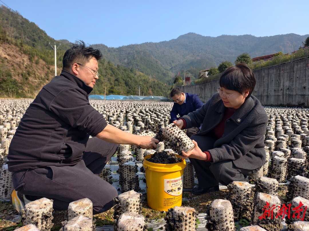 新田政协：让更多生态优质农产品走出大山