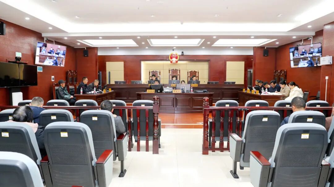 区长出庭应诉！张家界中院公开开庭审理林木林地权属确权及行政复议一案